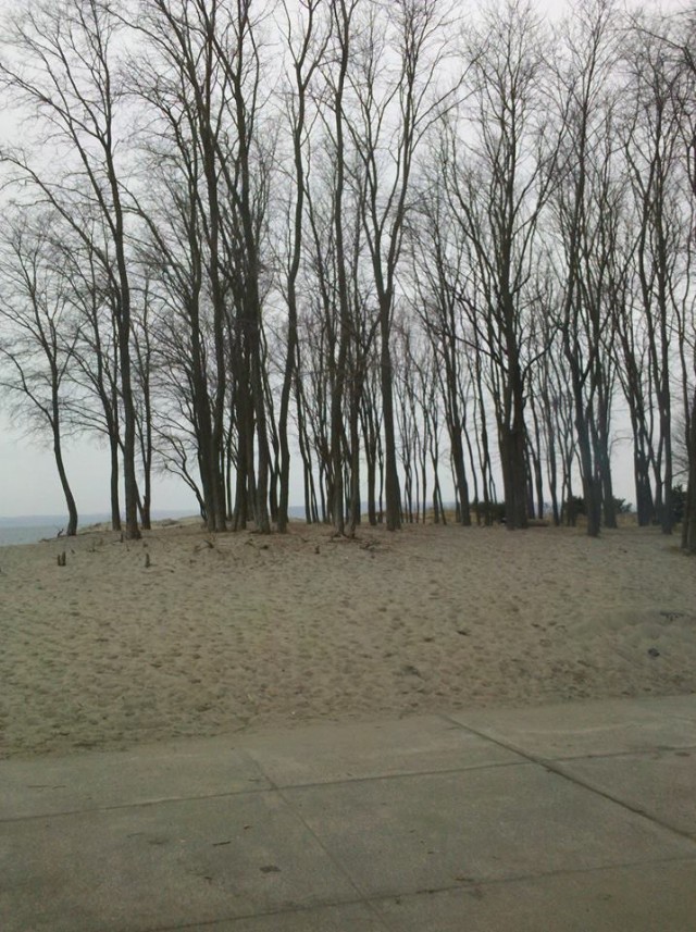 Sonnet I: The Beach Laid Plans