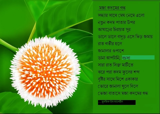 মজা কদমের গন্ধ