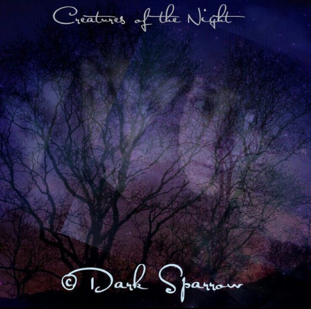 Into The Darkness Creatures Of The Night