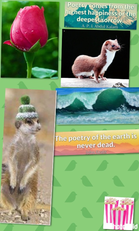 A Tribute To Every New Poem
