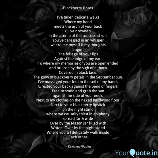 Blackberry Roses
