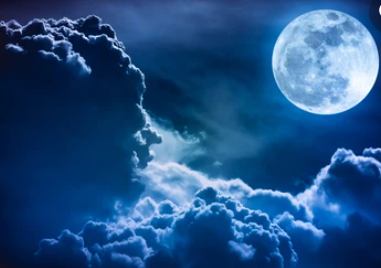 Moon's Purpose