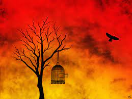 Freedom
