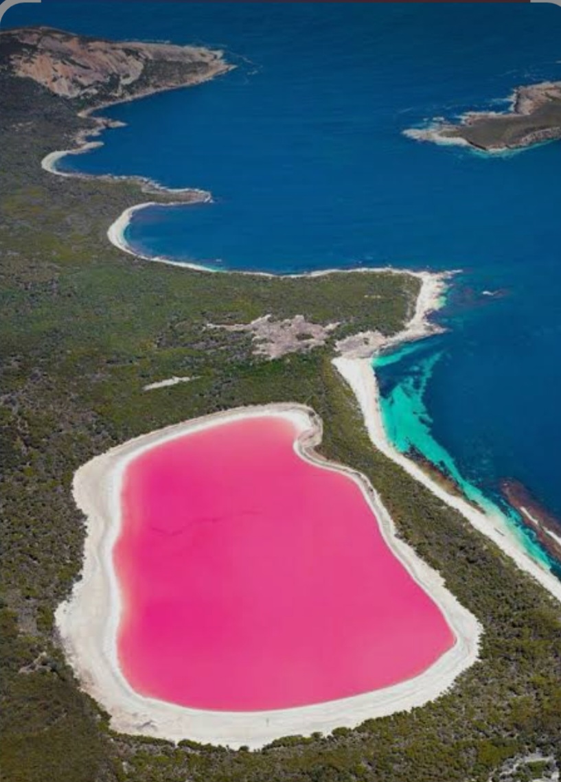 The Pink Lake Hillier