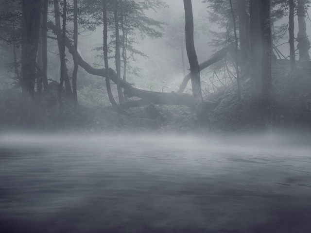 Haiku,89 __ [italian]