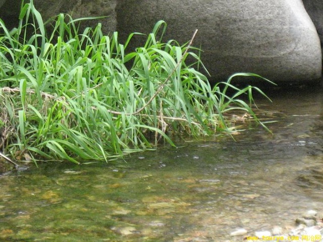 Providence Favors(Wǔ Lǜ)