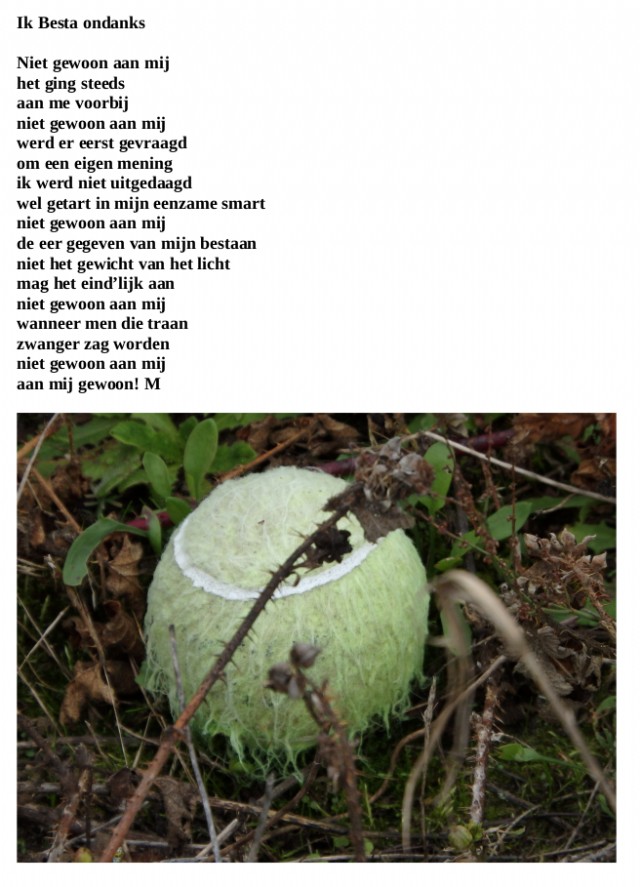 Ik Besta Ondanks
