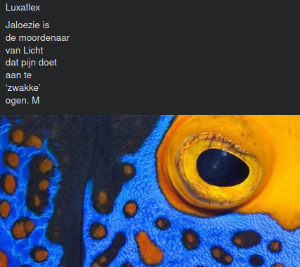 Luxaflex