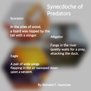 Synecdoche Of Predators