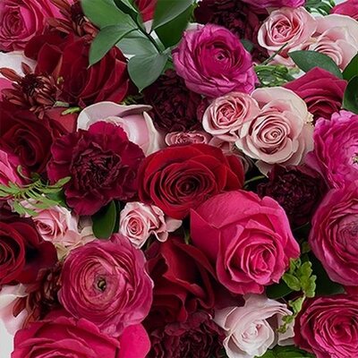 Haiku: Rose Packed With Petals