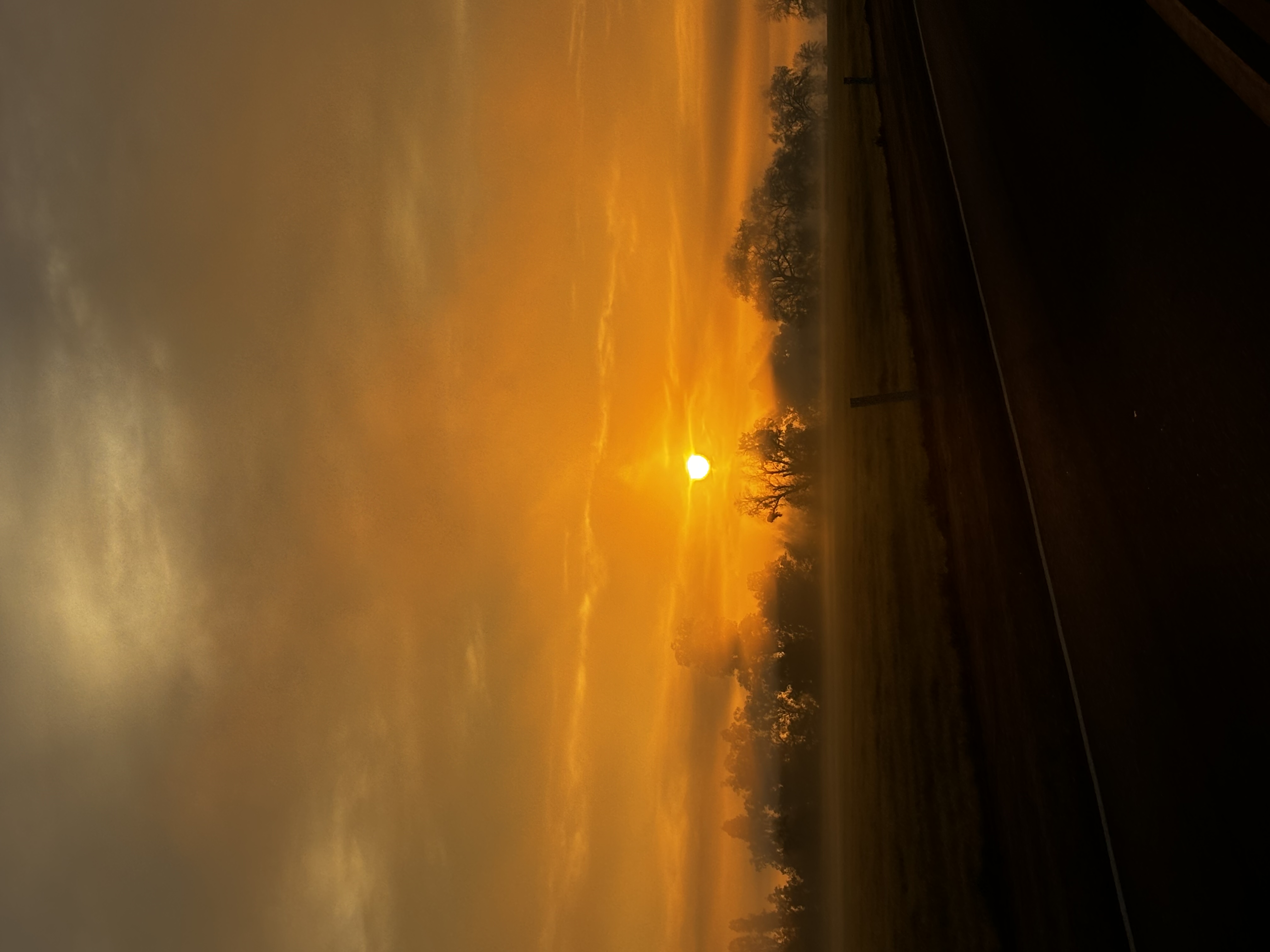 California Skies