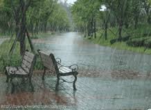 During The First Rainfall