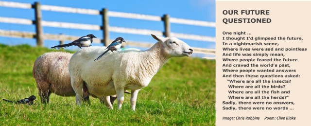 Our Future Questioned