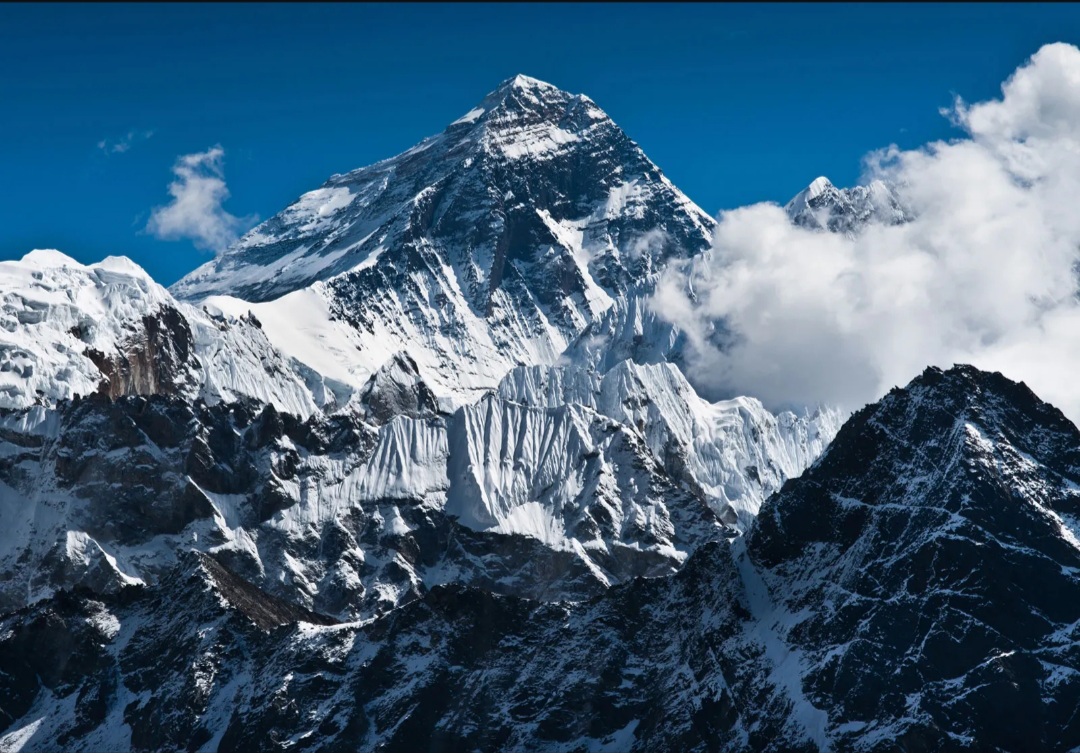 The Silent Giant