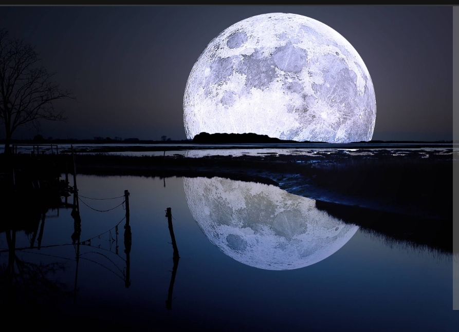 Litany Beneath The Full Moon🌕