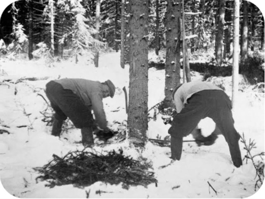 From A Loggers Old Diary.