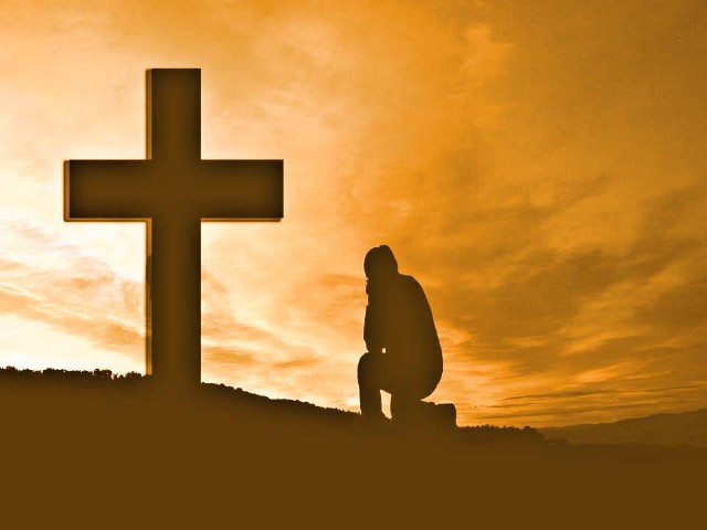 What On Earth Is Life?