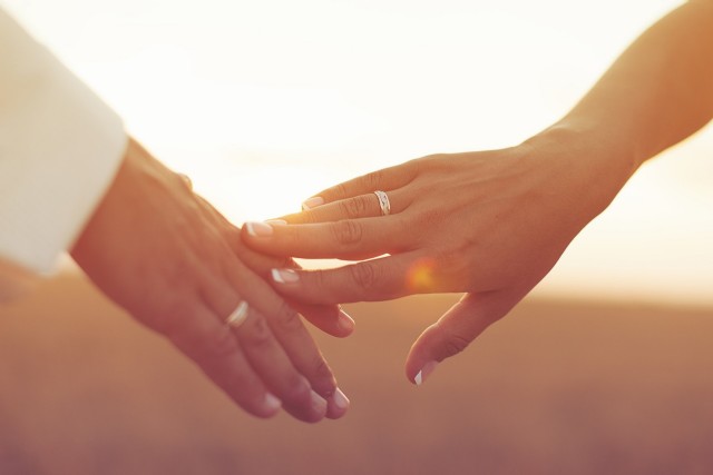 Her Tender Touch