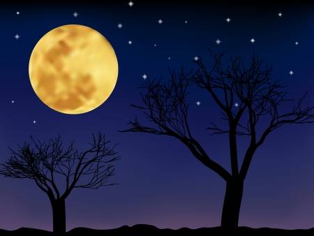 Moonlit Night Of Thadingyut