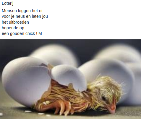 Loterij