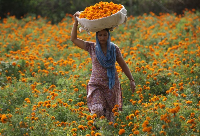 વસંત ના વાયરા...Vasant