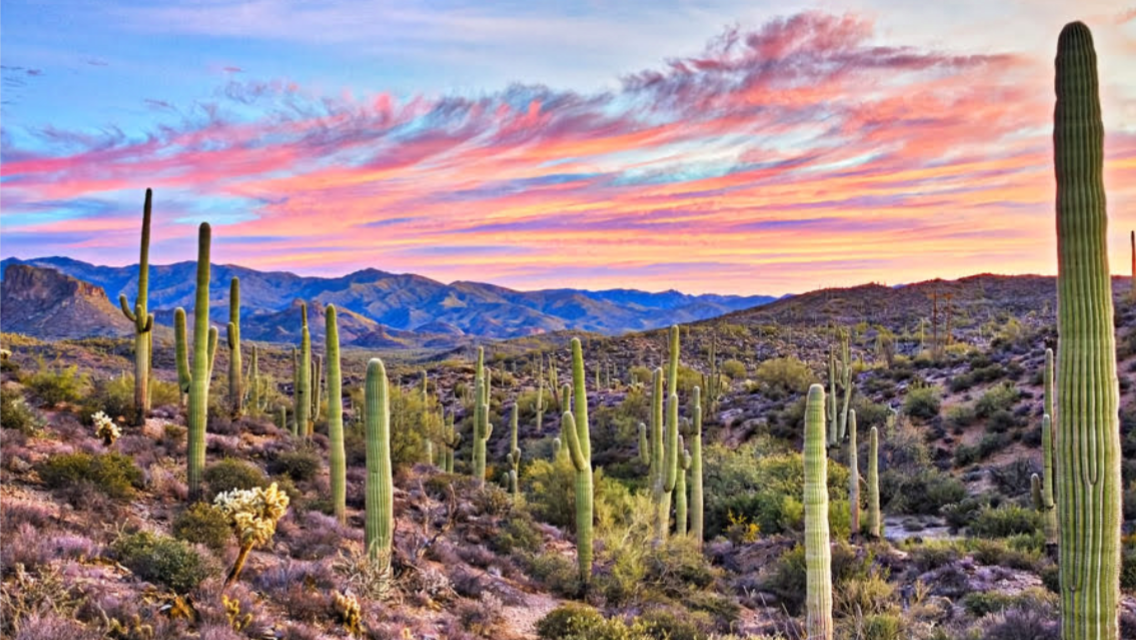 Arizona / Utah Land