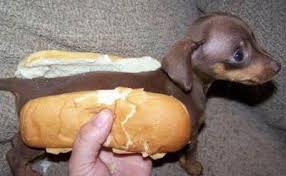 Limerick - Hot Dog