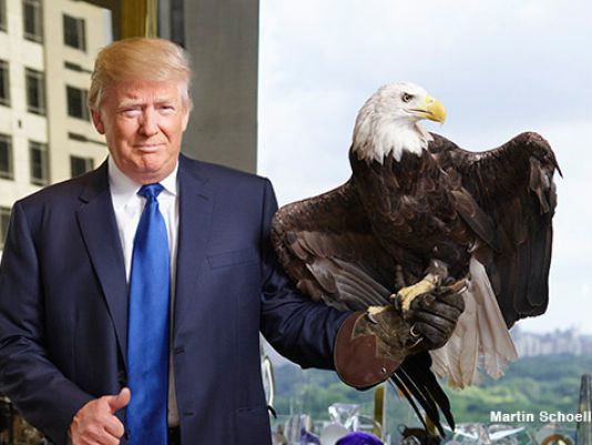 Donald Trump - The Soaring Eagle (Vote For Trump)