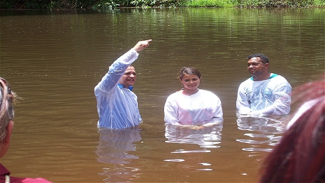 The Release Of Destiny!