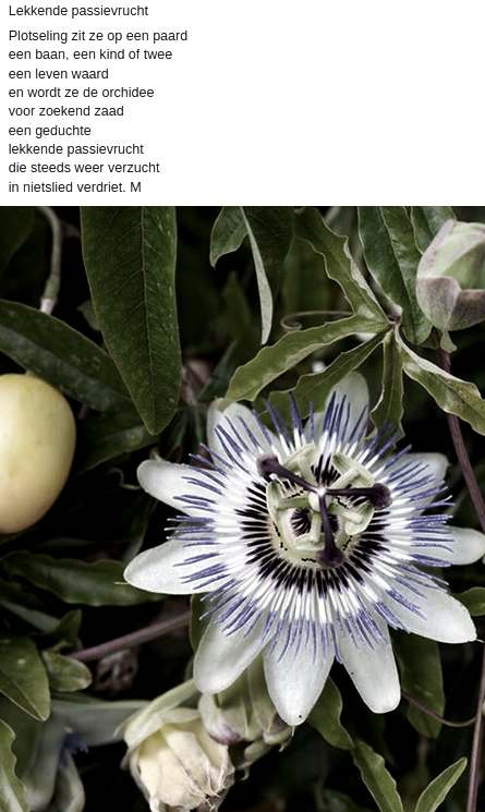 Lekkende Passievrucht