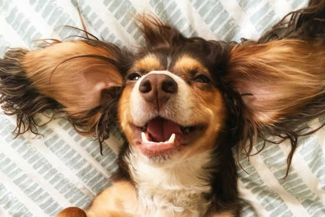 Nature On Earth And Beyond!