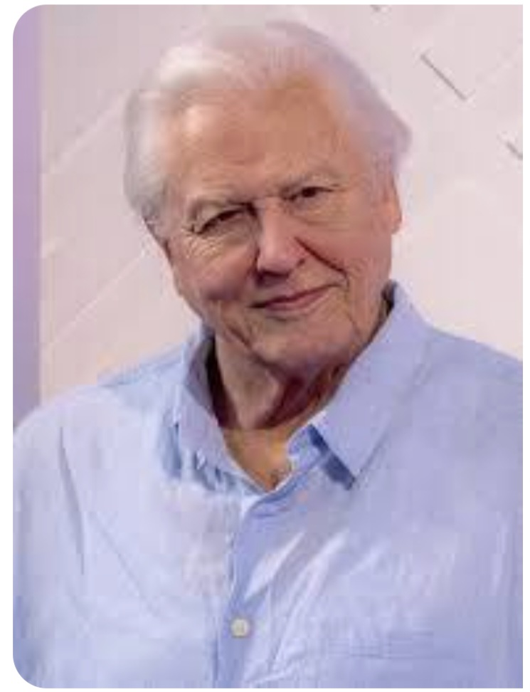 Sir David Attenborough. 
happy 100 Years.