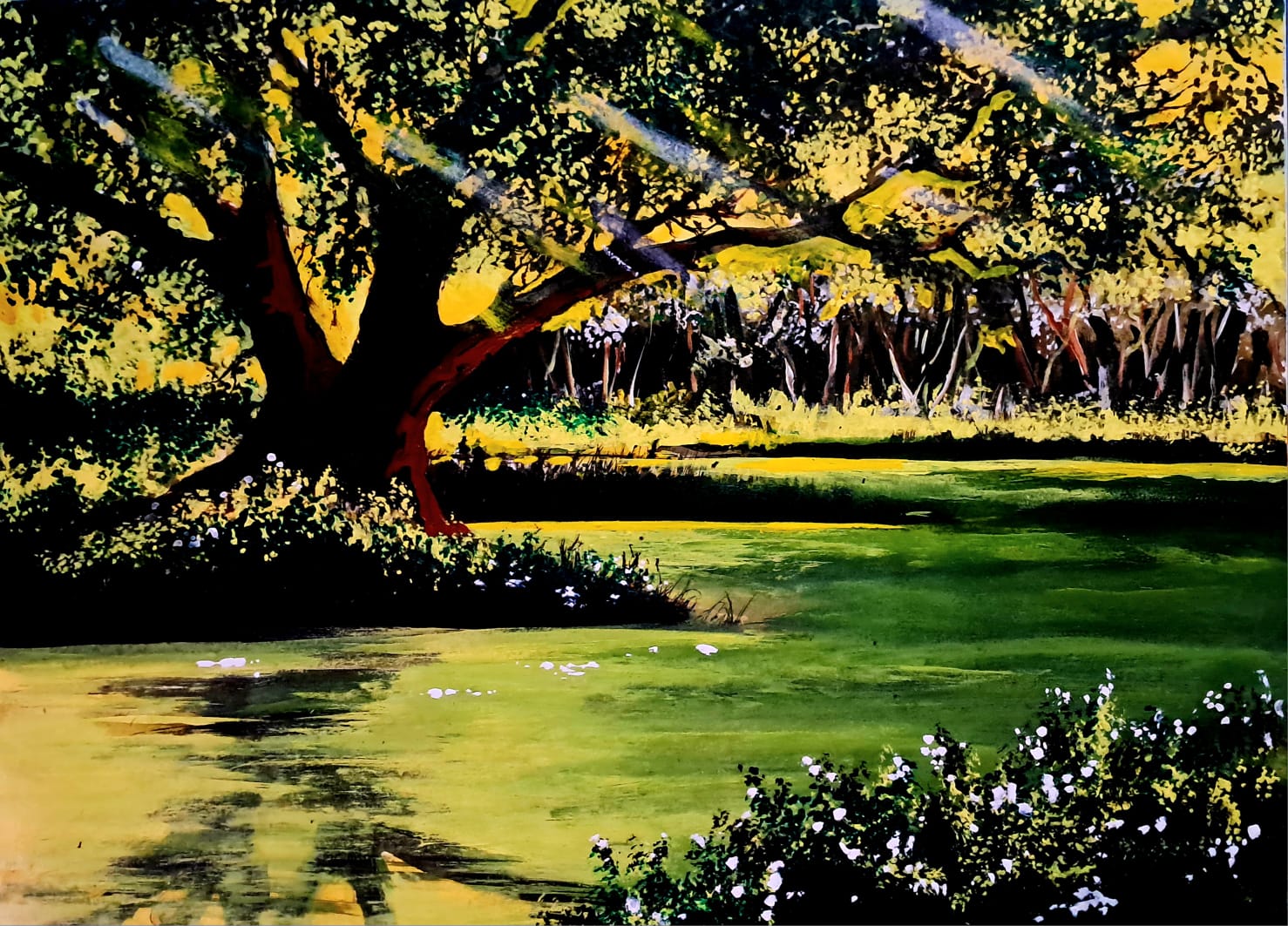 'Mystical Slow Moving Waters'