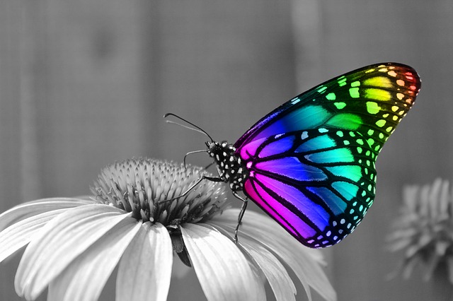 Delicate Darling ~ Tanka~