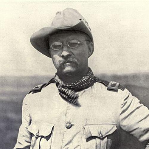 Theodore Roosevelt's Voyage
