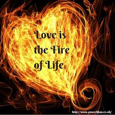 Fire Of Love