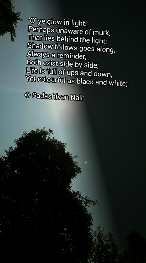 Shadow Follows Light