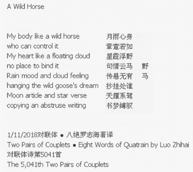 A Wild Horse