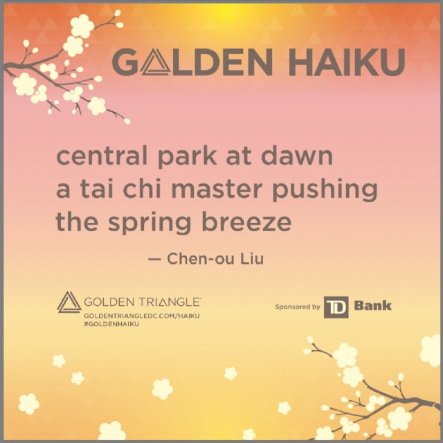 Tai Chi Master And Spring Breez Haiku