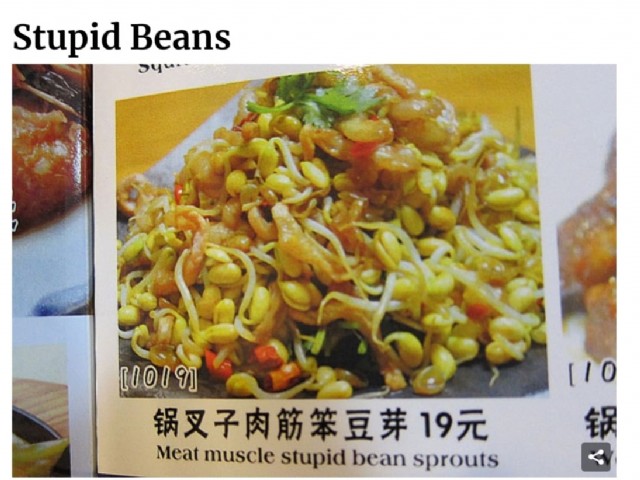 Stupid Bean Sprouts