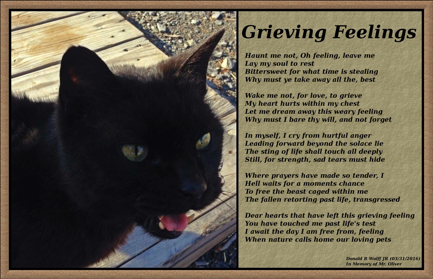Grieving Feelings