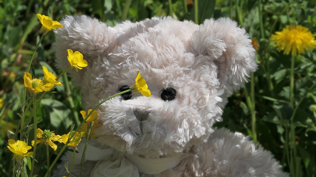 Teddy Bear In Blooms