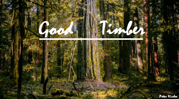Good Timber | Peter Virdee