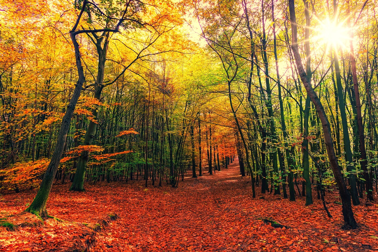 These Days Of Autumn.