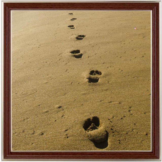 The Time Machine Prayer...