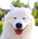 Look At Those Peacemakers Over There!