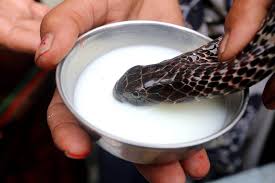 પડકાર પણ ઝીલવાનો છે Paaadkaar Pan