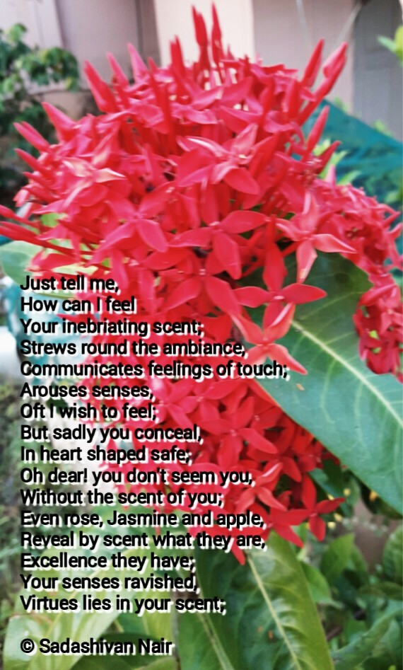 Have Scent Of Your Own