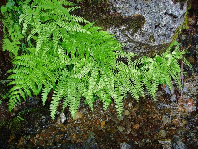 Things We Cannot Name