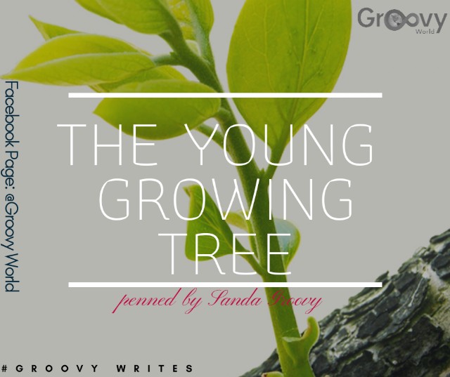The Young Growing Tree